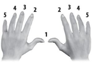 Dedos para tocar teclado