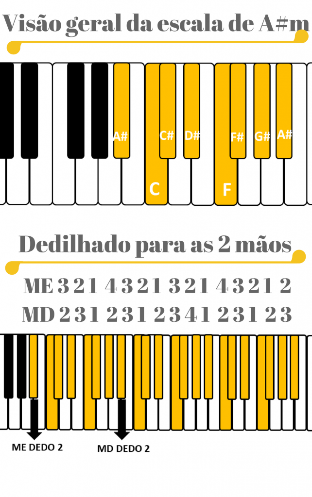 EBook Como Fazer as Escalas Para Teclado e Piano Da Forma Correta